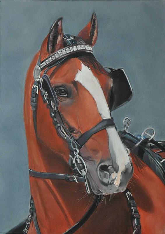 cheval att1.JPG -  Pastel format /size 40 x 50